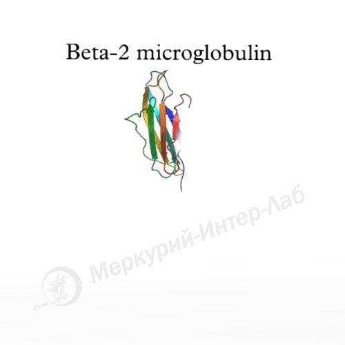 beta2-микроглобулин. 2 x 70 тестов