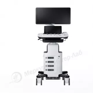 HS40 ультразвуковой сканер Samsung Medison