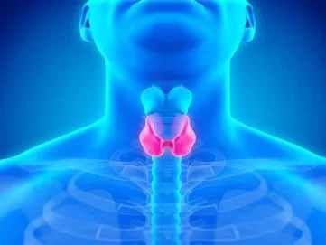 Диагностика нарушений функций щитовидной железы
